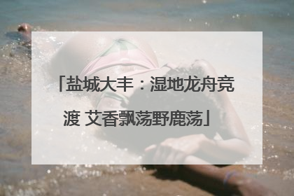 盐城大丰：湿地龙舟竞渡 艾香飘荡野鹿荡