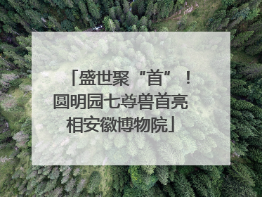 盛世聚“首”！圆明园七尊兽首亮相安徽博物院