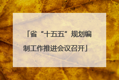 省“十五五”规划编制工作推进会议召开