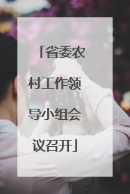 省委农村工作领导小组会议召开