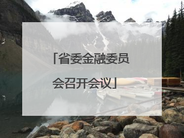 省委金融委员会召开会议