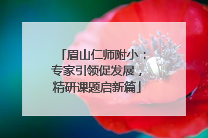 眉山仁师附小：专家引领促发展，精研课题启新篇