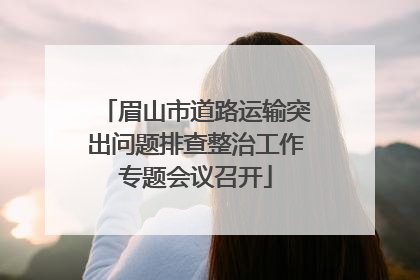 眉山市道路运输突出问题排查整治工作专题会议召开