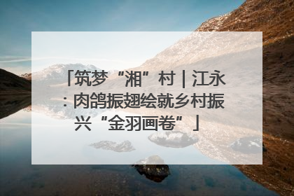 筑梦“湘”村｜江永：肉鸽振翅绘就乡村振兴“金羽画卷”