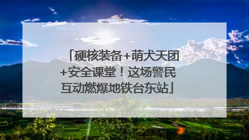 硬核装备+萌犬天团+安全课堂！这场警民互动燃爆地铁台东站