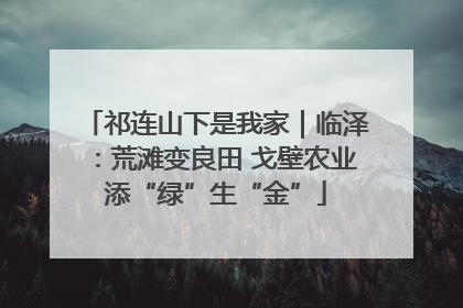 祁连山下是我家｜临泽：荒滩变良田 戈壁农业添“绿”生“金”