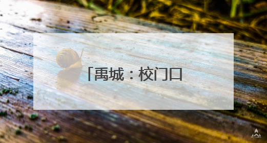 禹城：校门口暖心救助 见义勇为显担当