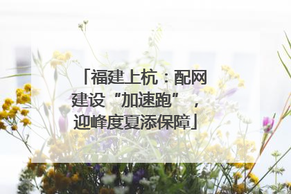 福建上杭：配网建设“加速跑”，迎峰度夏添保障