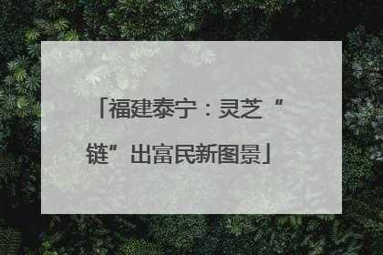 福建泰宁：灵芝“链”出富民新图景