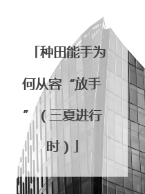 种田能手为何从容“放手”（三夏进行时）