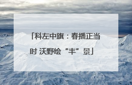 科左中旗：春播正当时 沃野绘“丰”景