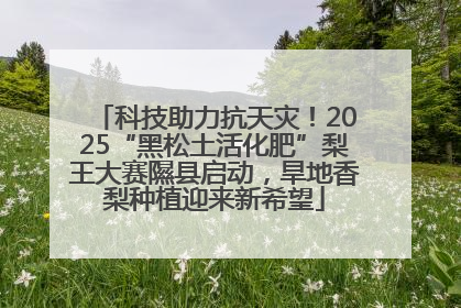 科技助力抗天灾！2025“黑松土活化肥”梨王大赛隰县启动，旱地香梨种植迎来新希望