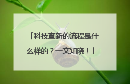 科技查新的流程是什么样的？一文知晓！