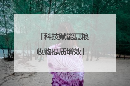 科技赋能夏粮收购提质增效