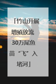 竹山开展增殖放流 30万尾鱼苗“飞”入堵河