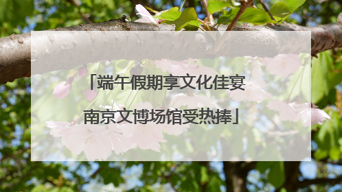 端午假期享文化佳宴 南京文博场馆受热捧