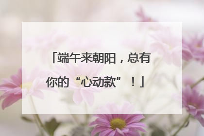 端午来朝阳，总有你的“心动款”！