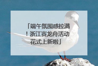 端午氛围感拉满！浙江赛龙舟活动花式上新啦