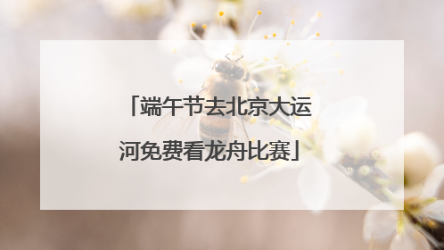 端午节去北京大运河免费看龙舟比赛