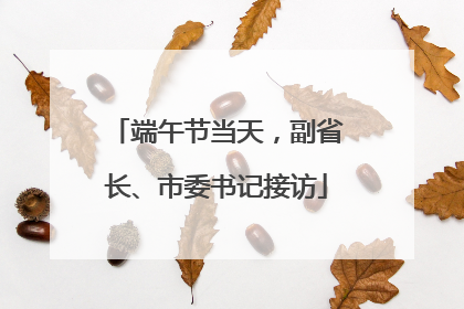 端午节当天，副省长、市委书记接访