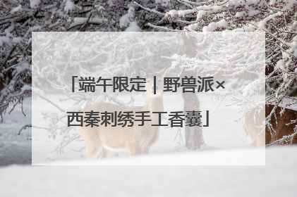 端午限定｜野兽派×西秦刺绣手工香囊