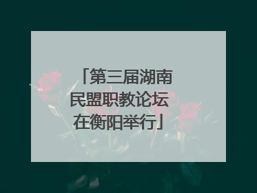 第三届湖南民盟职教论坛在衡阳举行