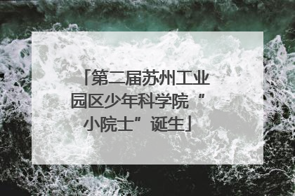 第二届苏州工业园区少年科学院“小院士”诞生