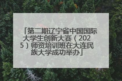 第二期辽宁省中国国际大学生创新大赛（2025）师资培训班在大连民族大学成功举办