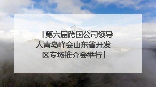 第六届跨国公司领导人青岛峰会山东省开发区专场推介会举行