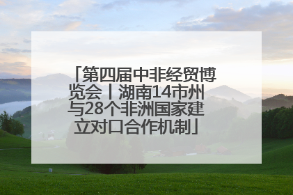 第四届中非经贸博览会丨湖南14市州与28个非洲国家建立对口合作机制
