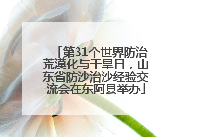 第31个世界防治荒漠化与干旱日，山东省防沙治沙经验交流会在东阿县举办