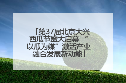 第37届北京大兴西瓜节盛大启幕 “以瓜为媒”激活产业融合发展新动能