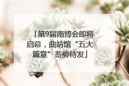 第9届南博会即将启幕，曲靖馆“五大篇章”蓄势待发