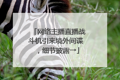 网络主播直播战斗机引来境外间谍，细节披露→