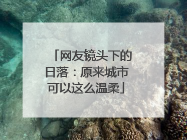 网友镜头下的日落：原来城市可以这么温柔
