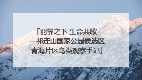 羽翼之下 生命共歌——祁连山国家公园候选区青海片区鸟类观察手记