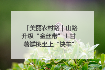 美丽农村路｜山路升级“金丝带”！甘薯鲜桃坐上“快车”，开去大市场