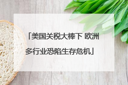 美国关税大棒下 欧洲多行业恐陷生存危机