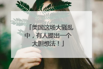 美国这场大骚乱中，有人提出一个大胆想法！