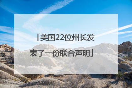 美国22位州长发表了一份联合声明