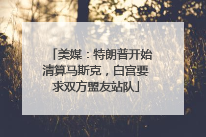 美媒：特朗普开始清算马斯克，白宫要求双方盟友站队