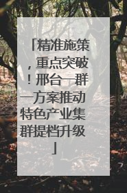 精准施策，重点突破！邢台一群一方案推动特色产业集群提档升级