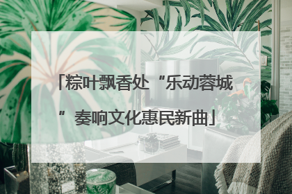 粽叶飘香处“乐动蓉城”奏响文化惠民新曲