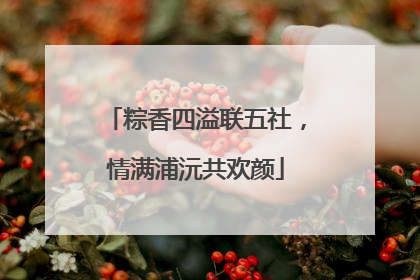 粽香四溢联五社，情满浦沅共欢颜