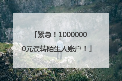 紧急！10000000元误转陌生人账户！
