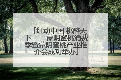 红动中国 桃醉天下——蒙阴蜜桃消费季暨蒙阴蜜桃产业推介会成功举办