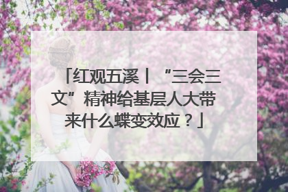 红观五溪丨“三会三文”精神给基层人大带来什么蝶变效应？