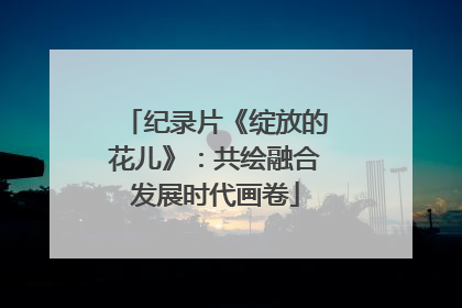 纪录片《绽放的花儿》：共绘融合发展时代画卷