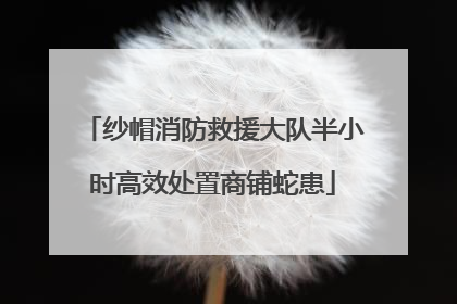 纱帽消防救援大队半小时高效处置商铺蛇患