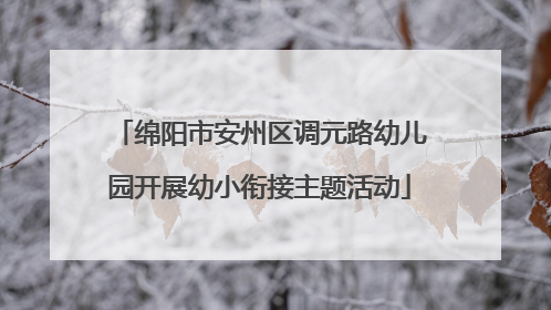 绵阳市安州区调元路幼儿园开展幼小衔接主题活动